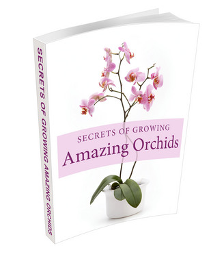 Product picture Secret of Growing Amazing Orchids