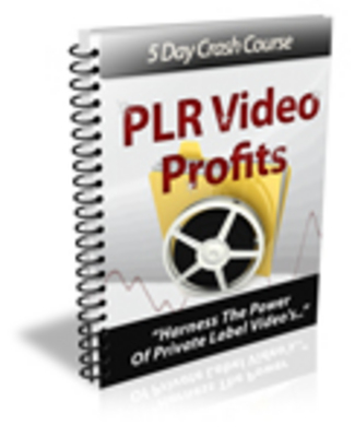 Product picture PLR Video Profits